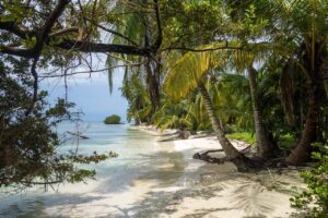 Tropická pláž v Karibiku